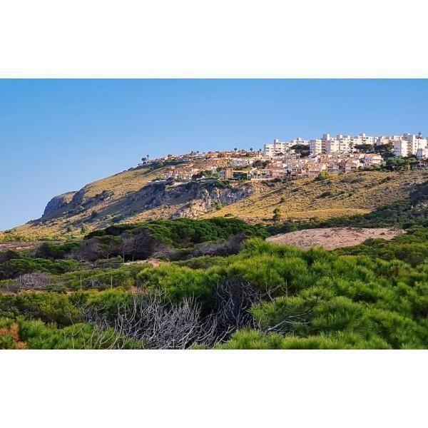 SANTA POLA-GRAN ALACANT-ARENALES