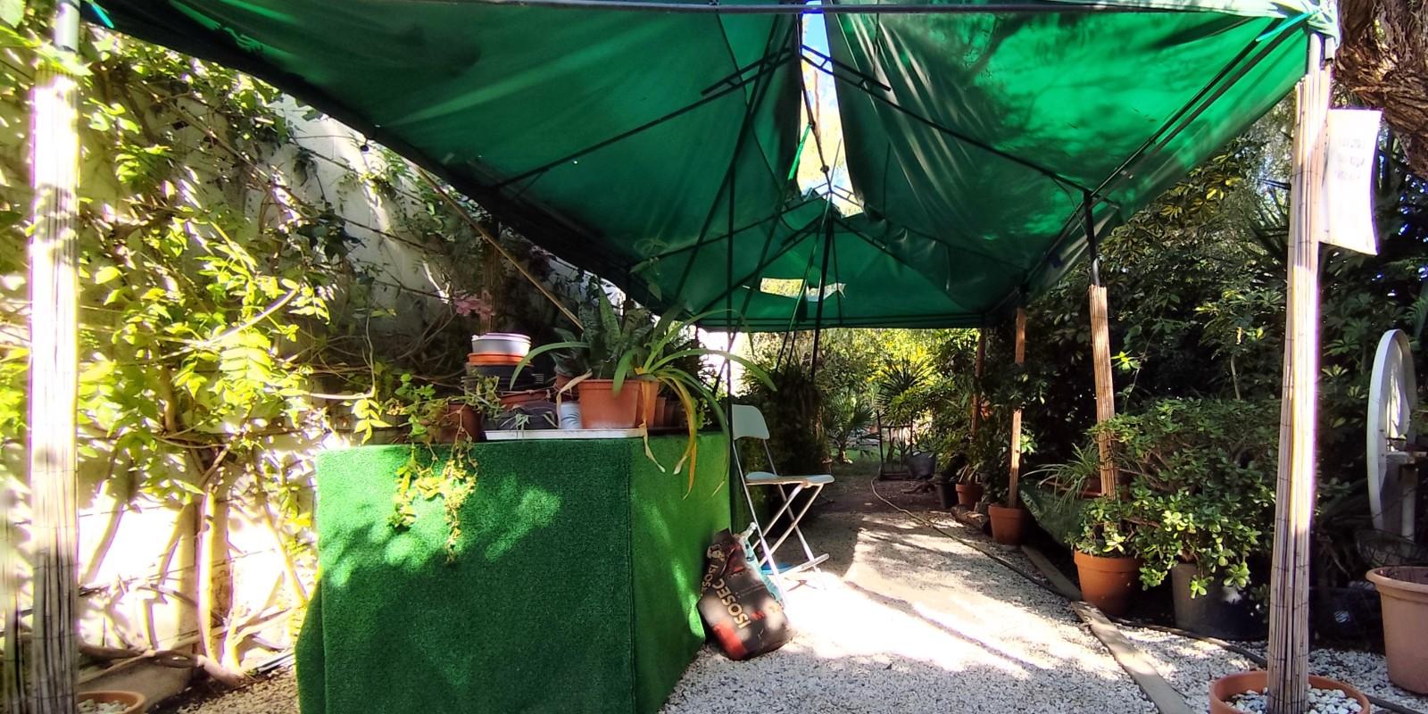 Viviendas con jardín: la nueva tendencia en Alicante