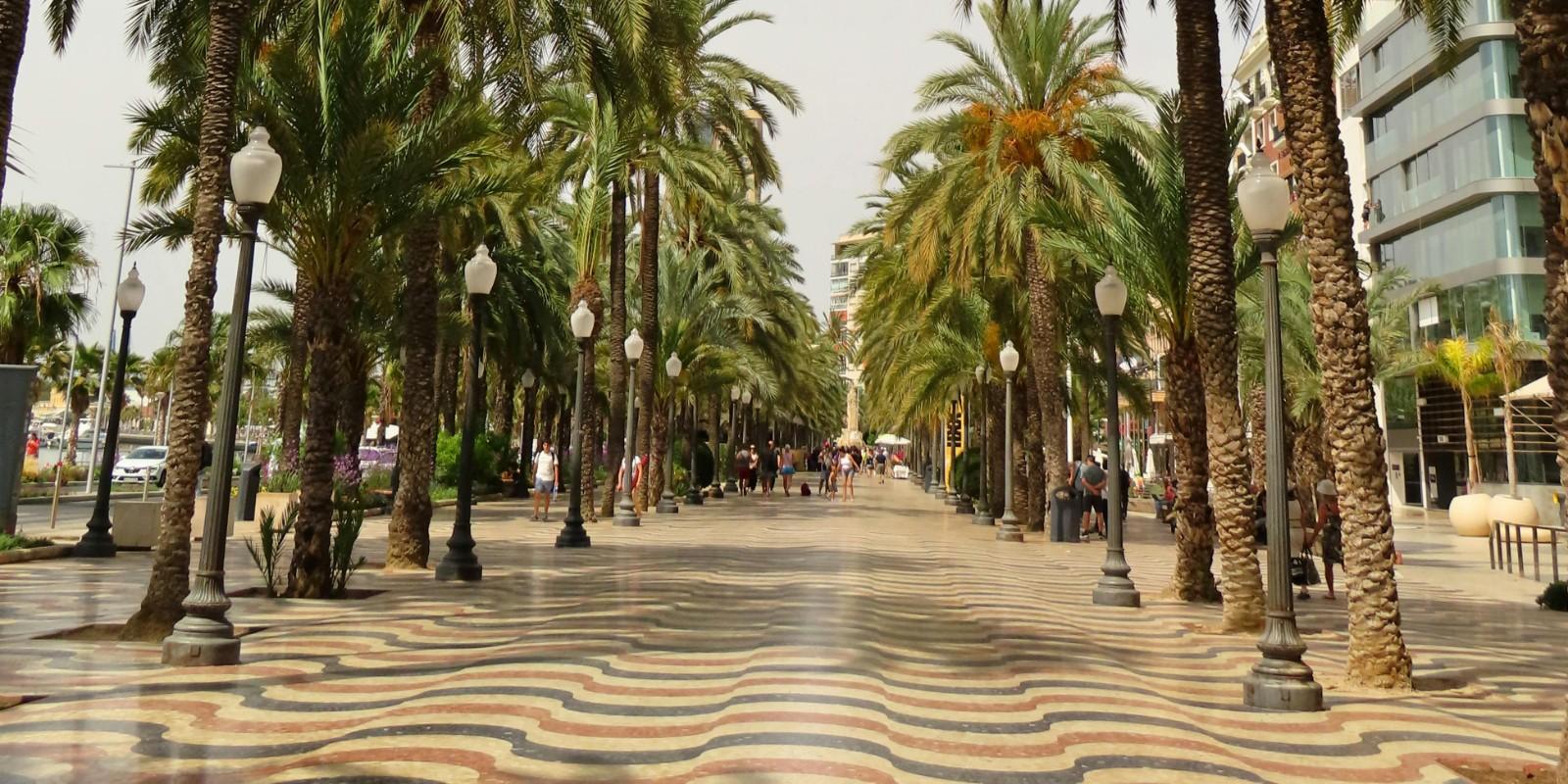Zonas de Alicante con Mejor Conexión y Servicios